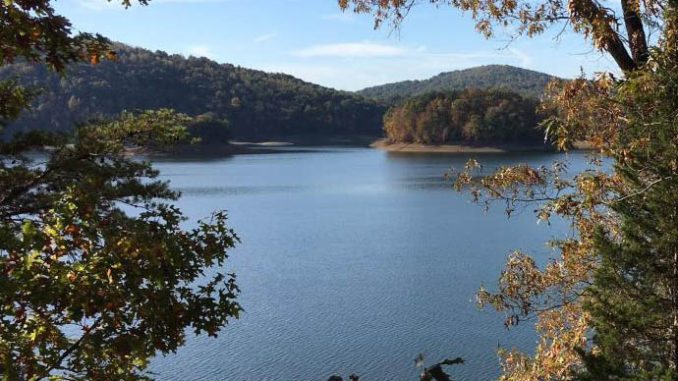 Cool Branch on Norris Lake